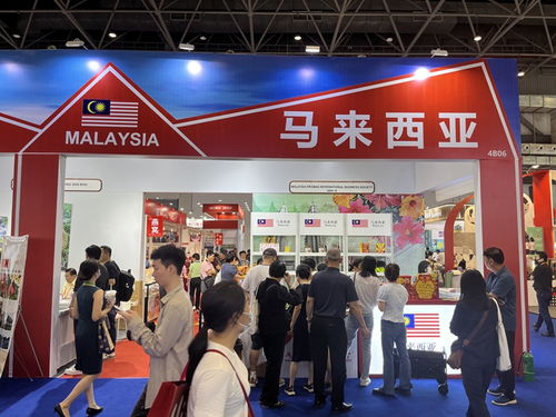 光影聚焦 网络科技开发的无限可能